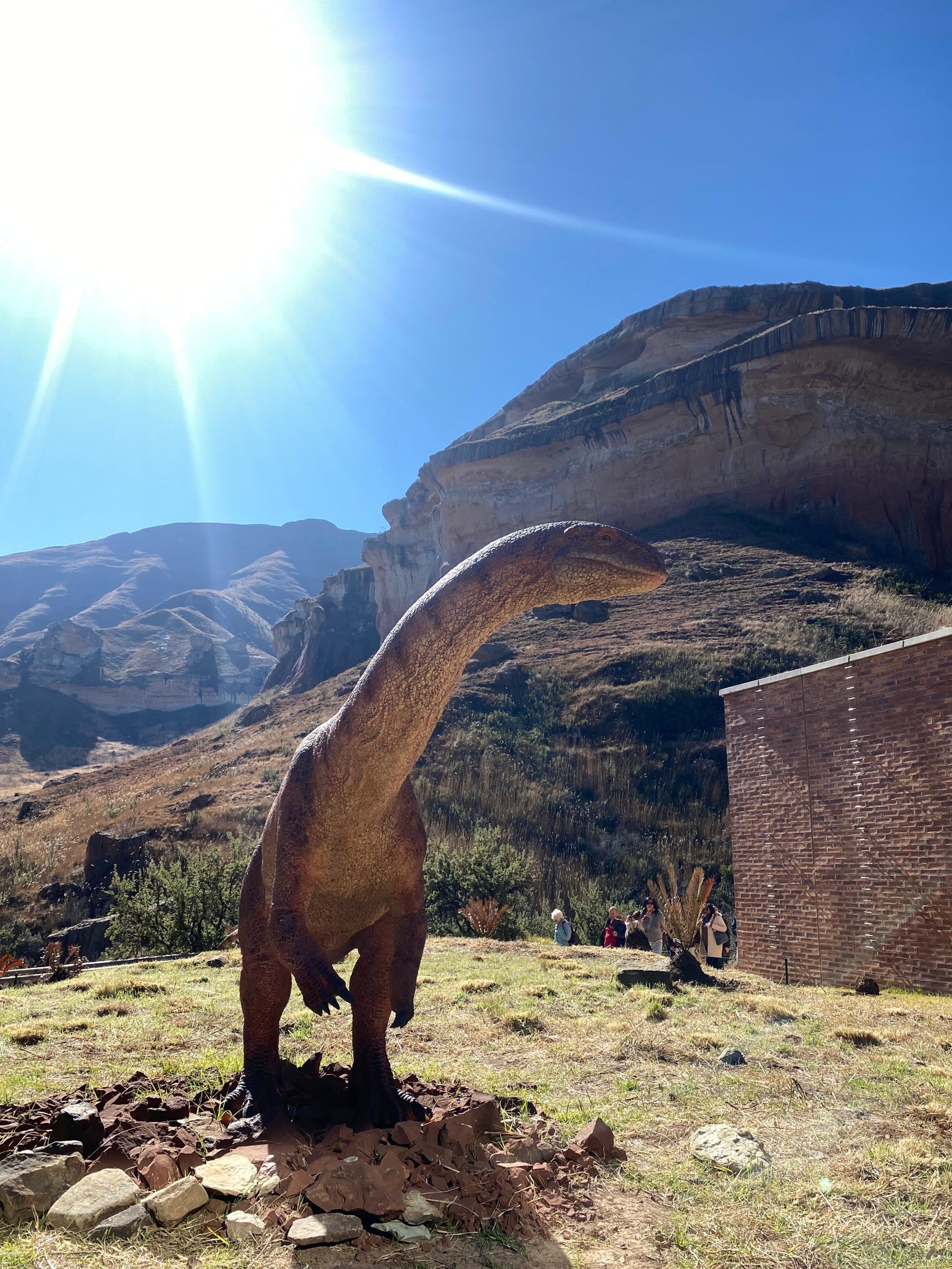 Dinosaur Centre